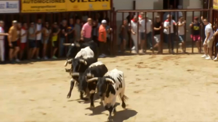 Sanjuanes de Coria 2023