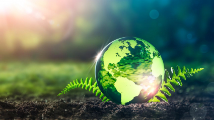 Dia mundial del medioambiente 2023