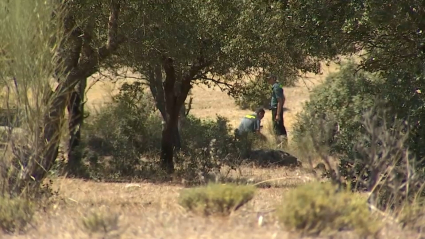 La Guardia Civil inspecciona el lugar del accidente