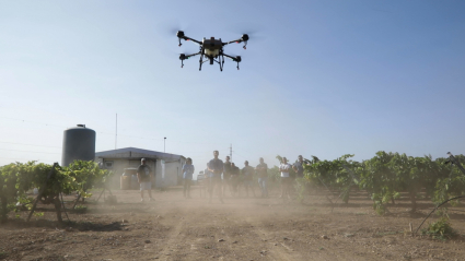 Dron levantando el vuelo en una finca 