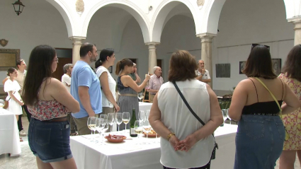 Cata de vinos en Llerena