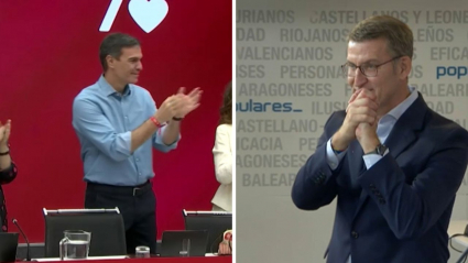 Pedro Sánchez en el Comité Ejecutivo del PSOE y Alberto Núñez Feijóo en la Junta Directiva Nacional del PP