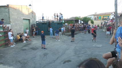 Huélaga Festejo Popular Toro en la calle Fiesta Tierra de Toros Canal Extremadura