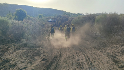 Incendio en Valencia de Alcántara