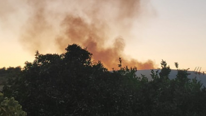 Incendio en Perales del Puerto