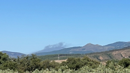 Incendio en Gata