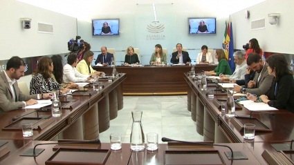 Comisión de cultura