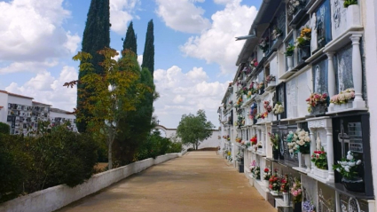 Cementerio de Fuentes de León