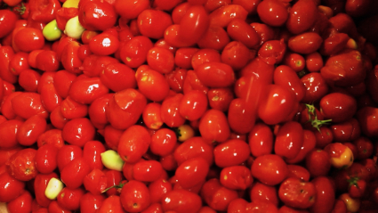 Tomate de industria