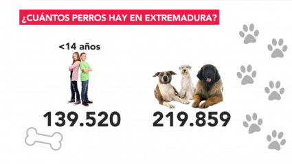 Perrhijos