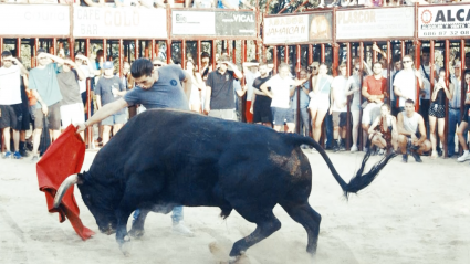 Andrés Montero, Novillero, Losar de la Vera, Capeas Toros, Festejo Tradicional, La Vera, Toro íntegro, Tierra de Toros, Canal Extremadura
