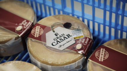 Tortas del Casar listas para ser distribuidas
