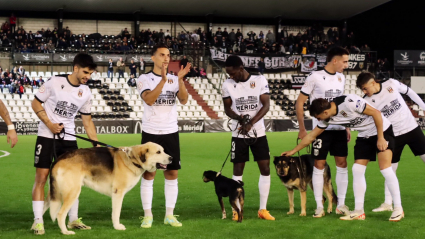 El Mérida salió al campo esta jornada con perros que buscan una familia.