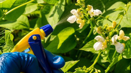 flores y spray