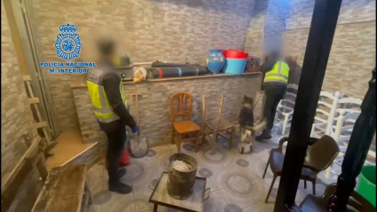 Operación Cama en Plasencia