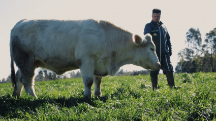 Un ganadero en el campo con una vaca