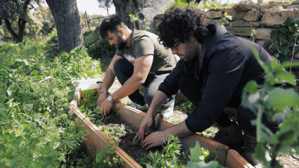Dos agricultores trabajando en un huerto ecológico