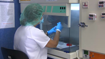 laboratorio cerha