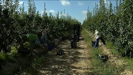 Preocupación en el campo