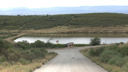 Reforestación en La Vera