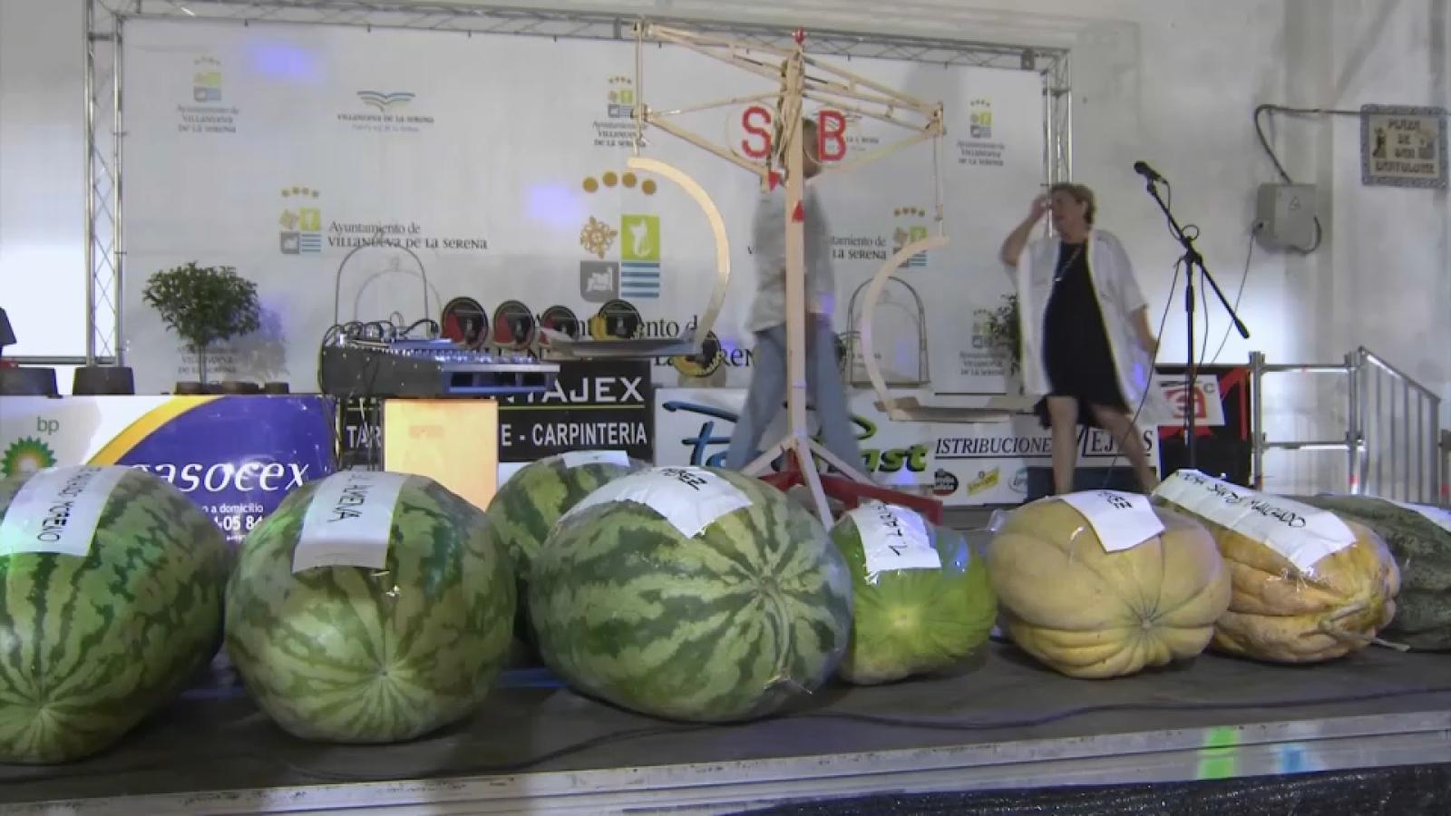 Sandías y melones