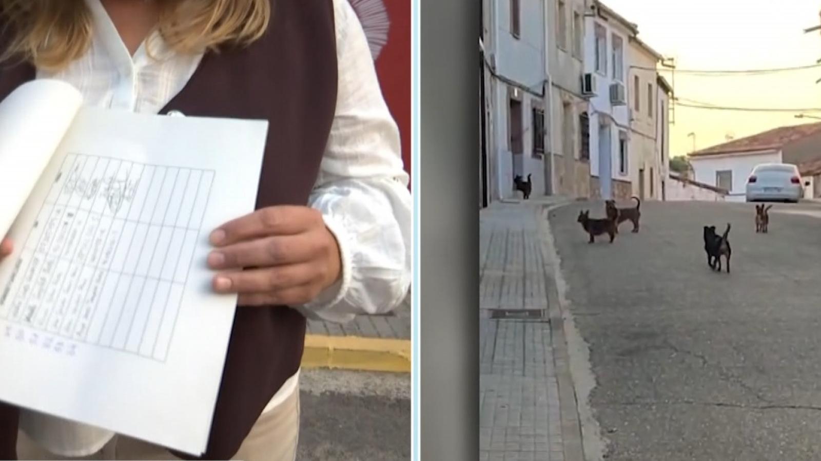 Los perros de una vecina dificultan la convivencia en Zarza la Mayor