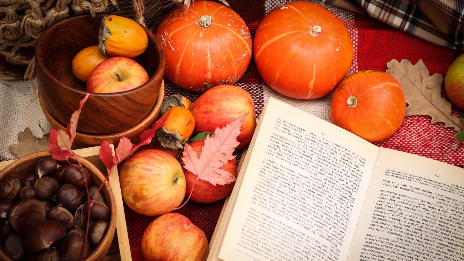 Alimentos y un libro
