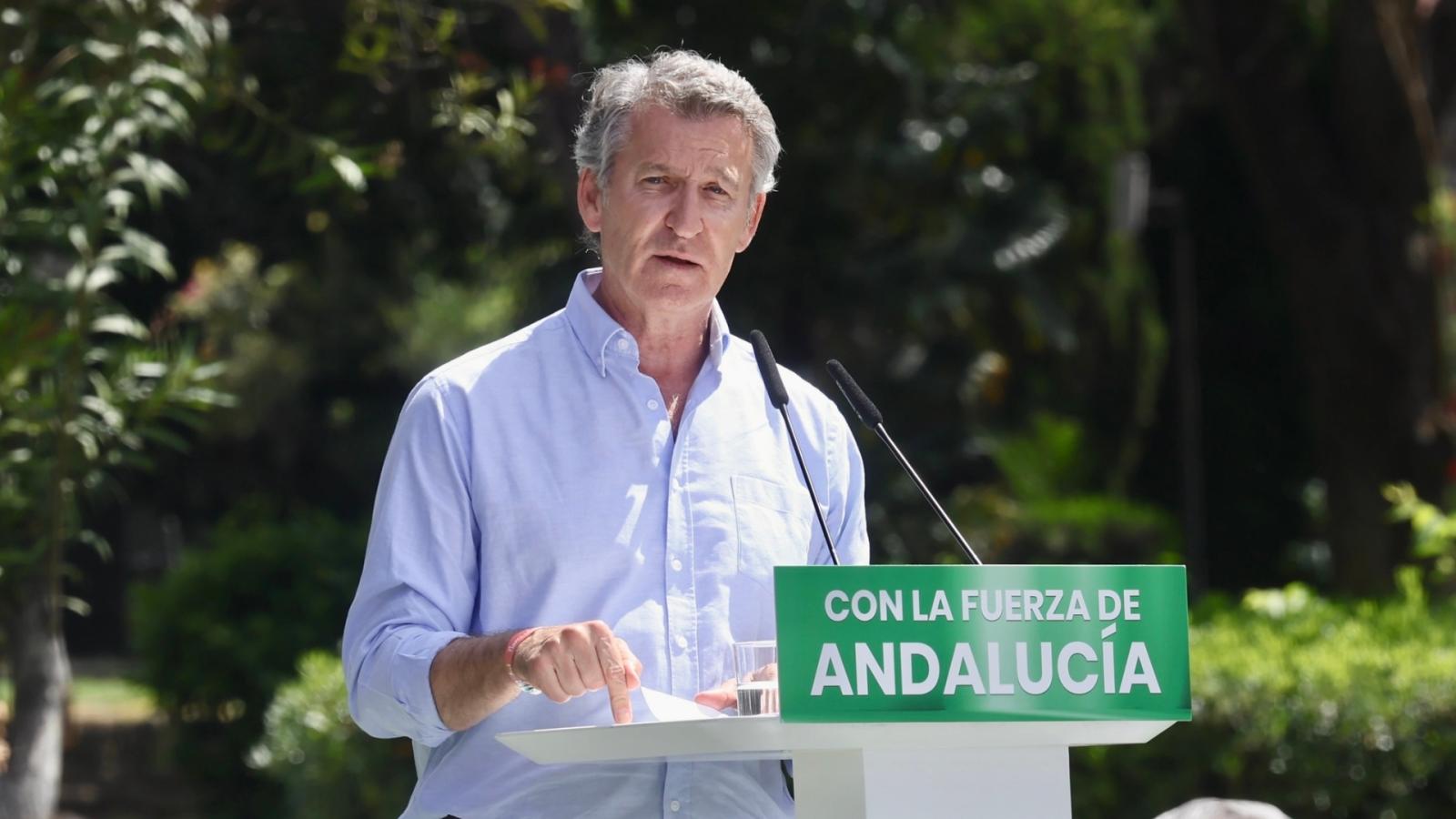 El presidente del Partido Popular, Alberto Núñez Feijoo