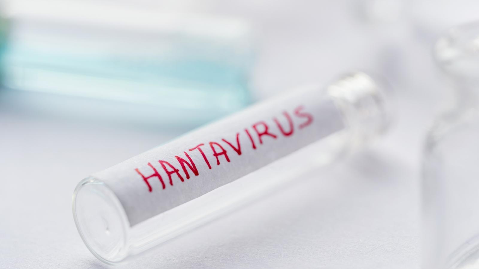 Hantavirus