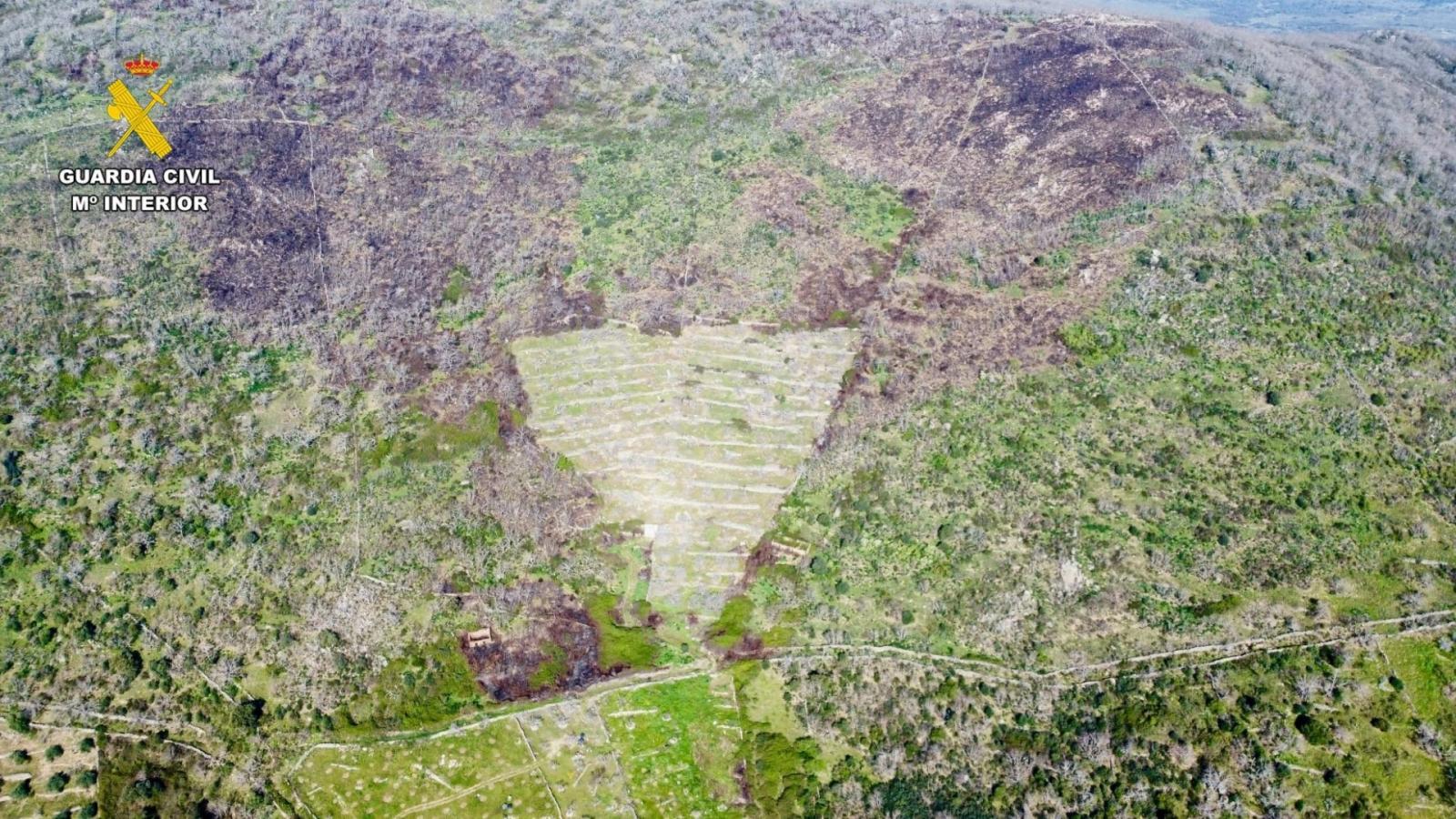 Investigación de delitos forestales en la provincia de Cáceres