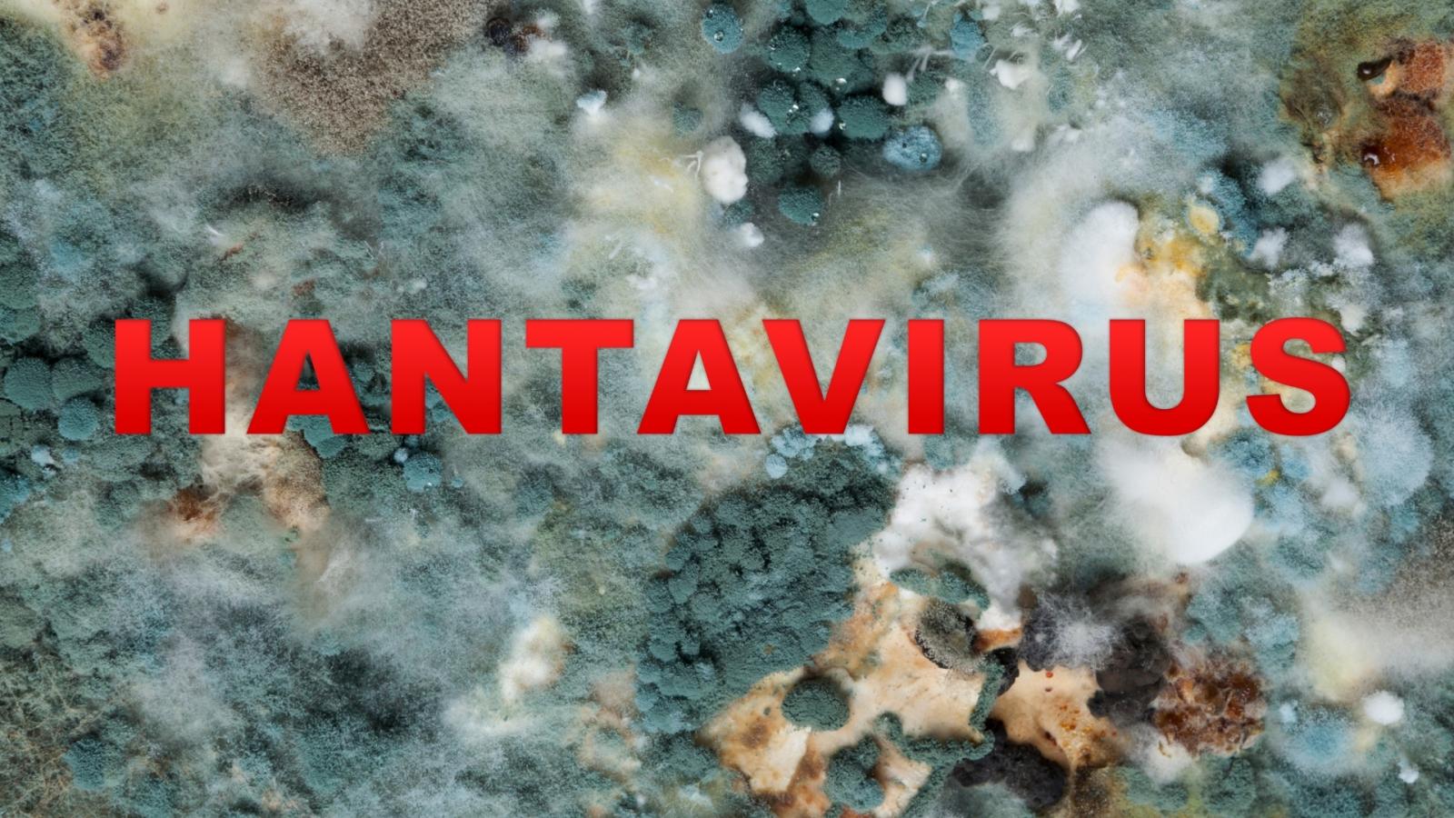 Hantavirus