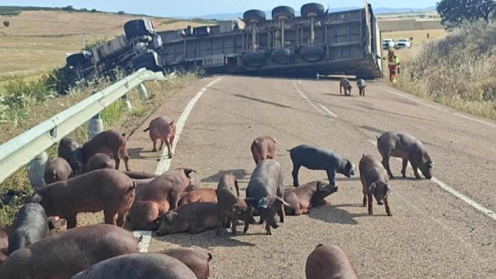 Camión cortando la carretera