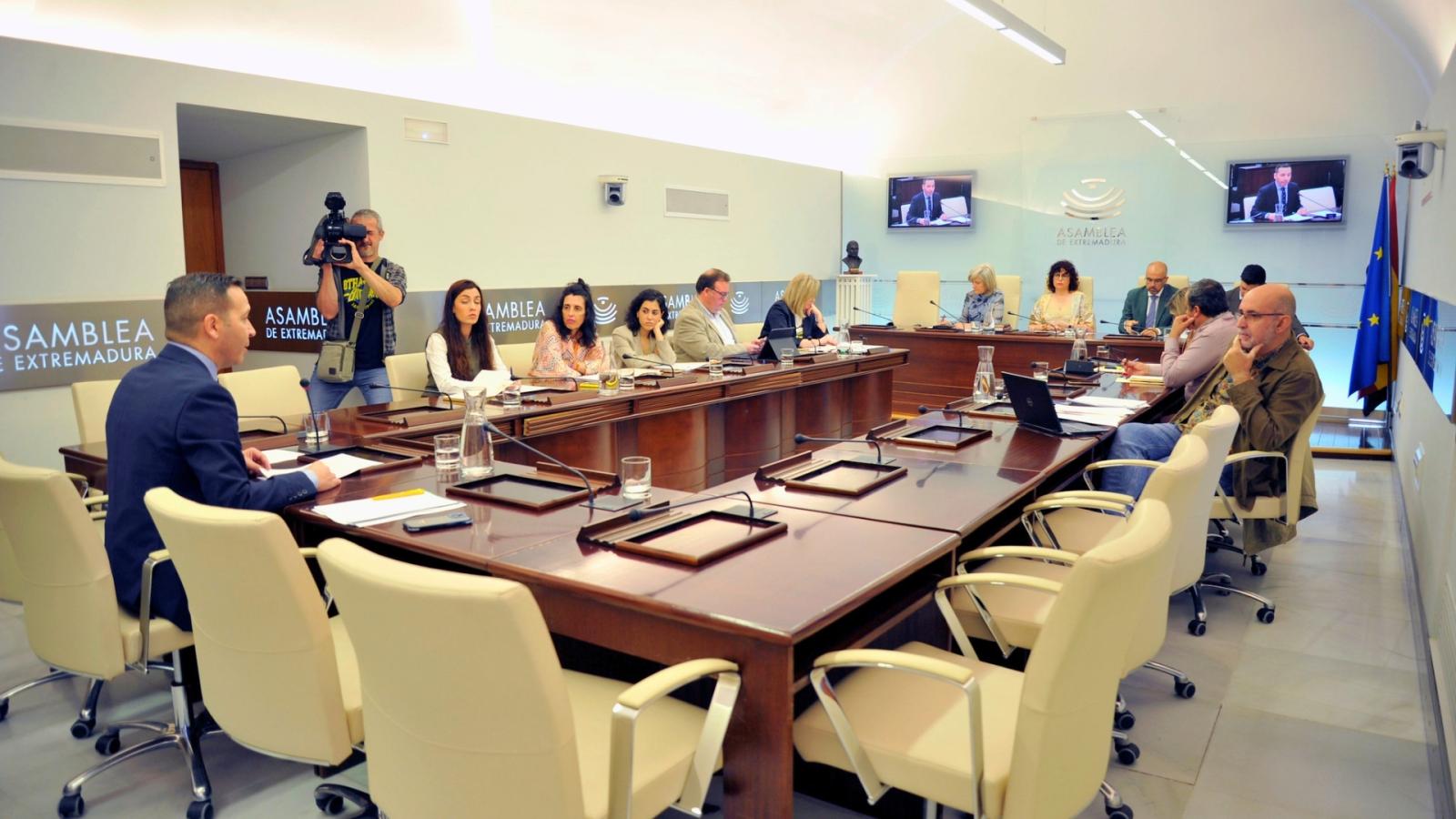 Comisión de Desregulación, Servicio Sociales y Familia