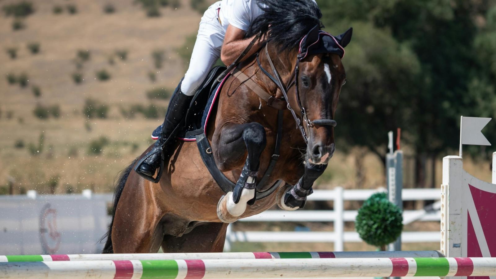 Salto