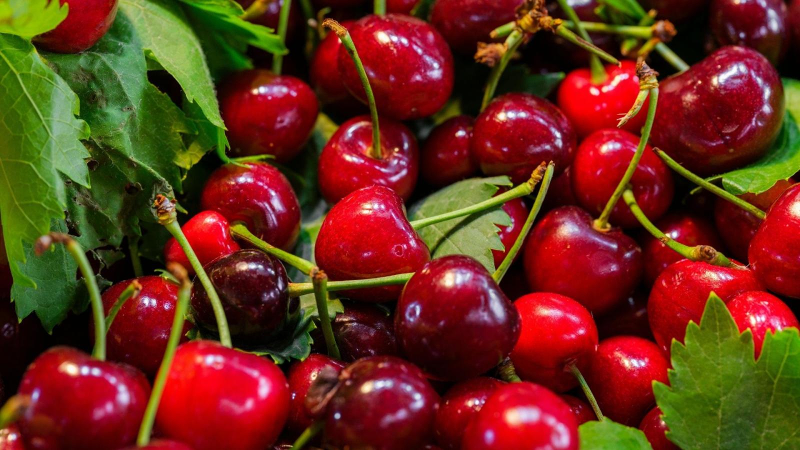 Cerezas en una imagen de archivo