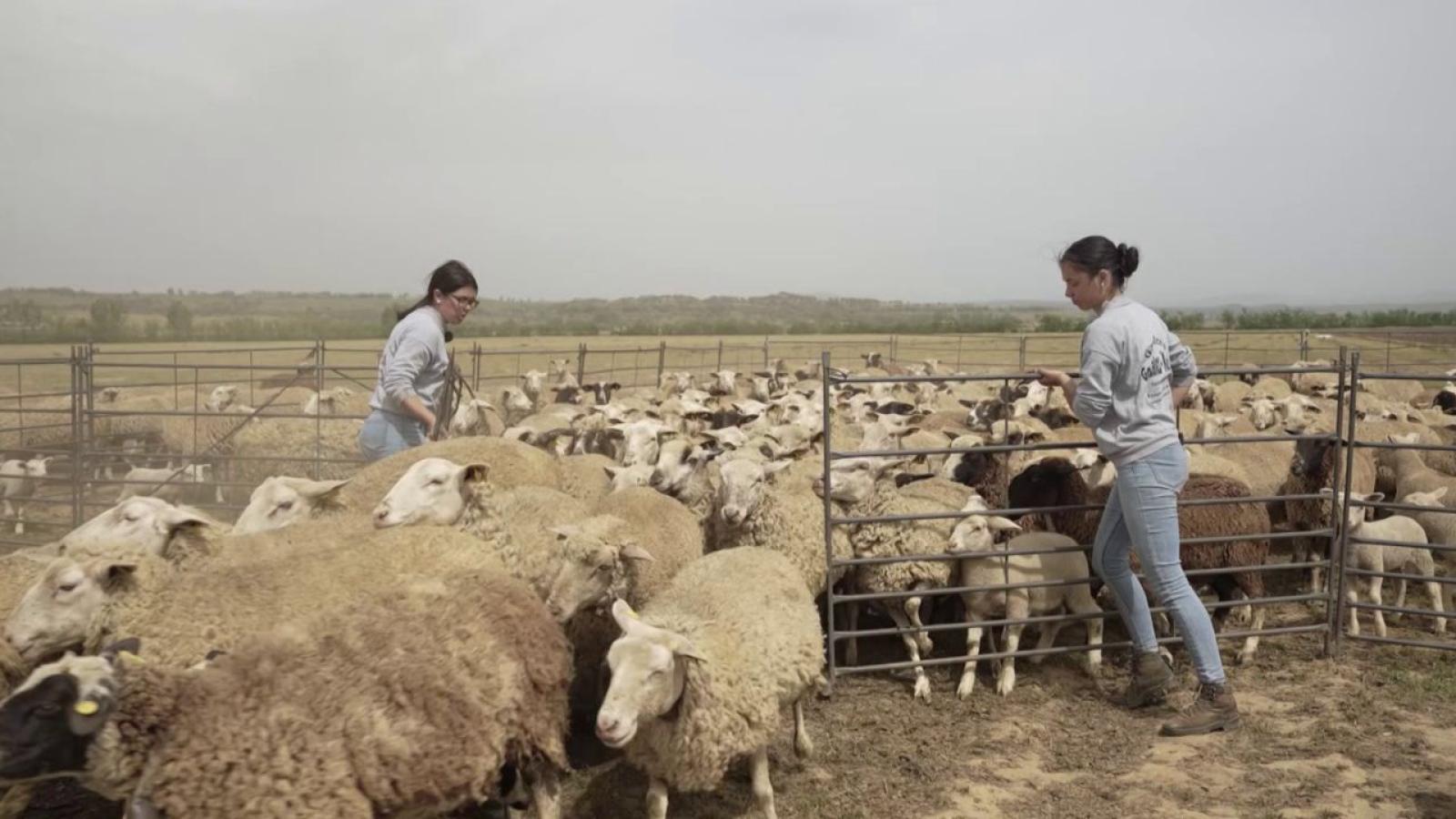 Isabel y Lidia