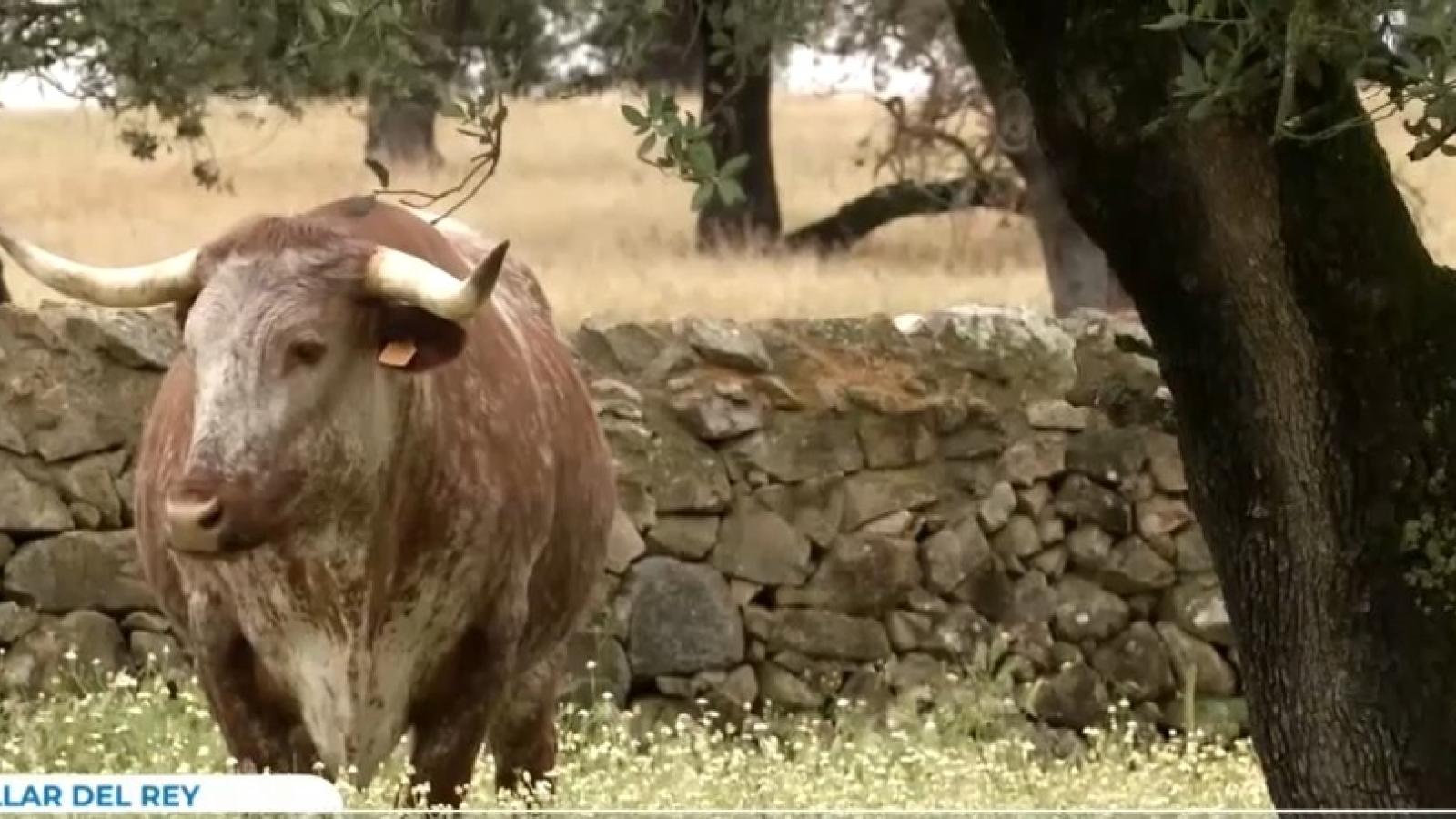 Un ecosistema único que da como resultado un producto de alta calidad