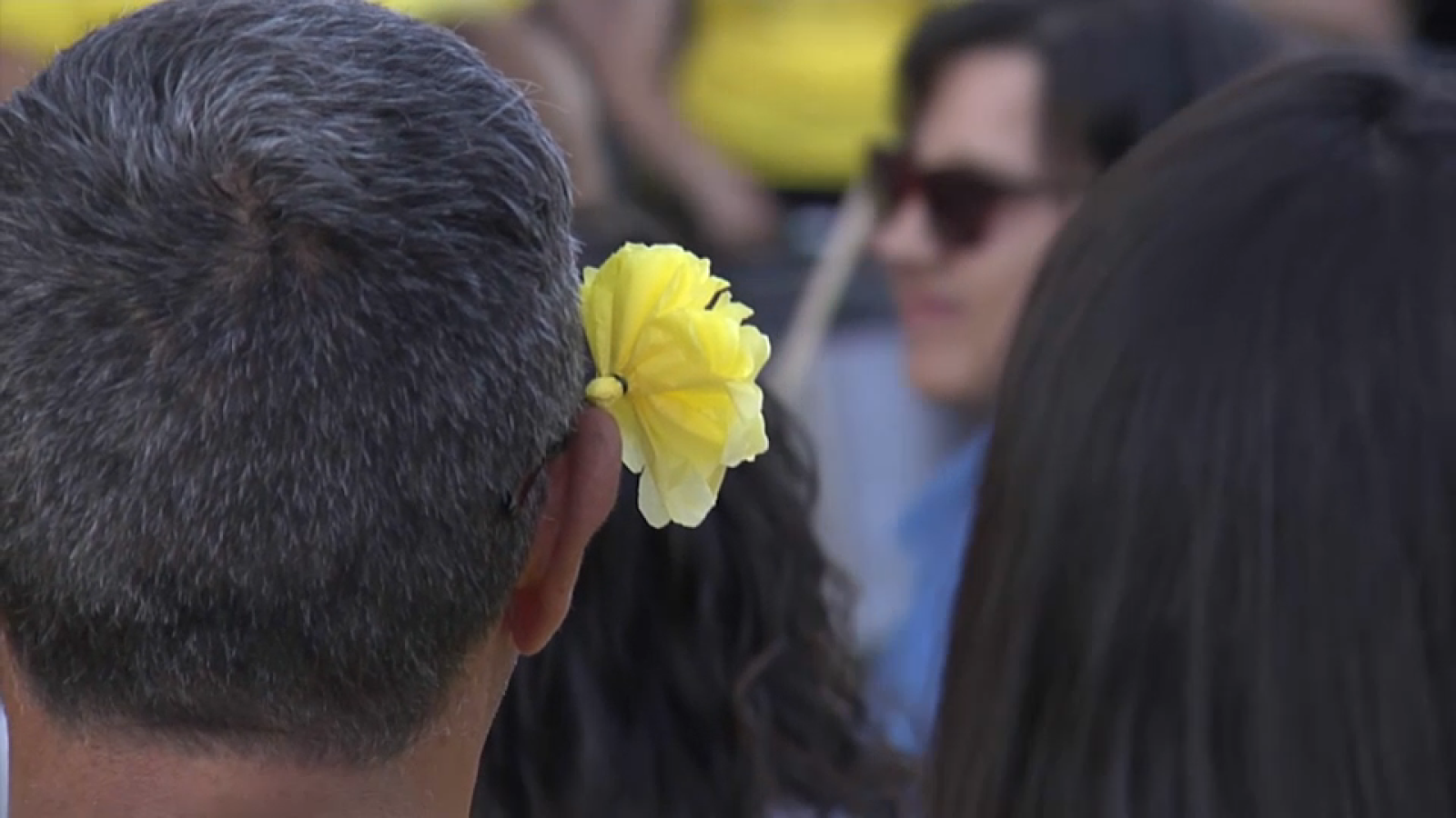 Flores Amarillas