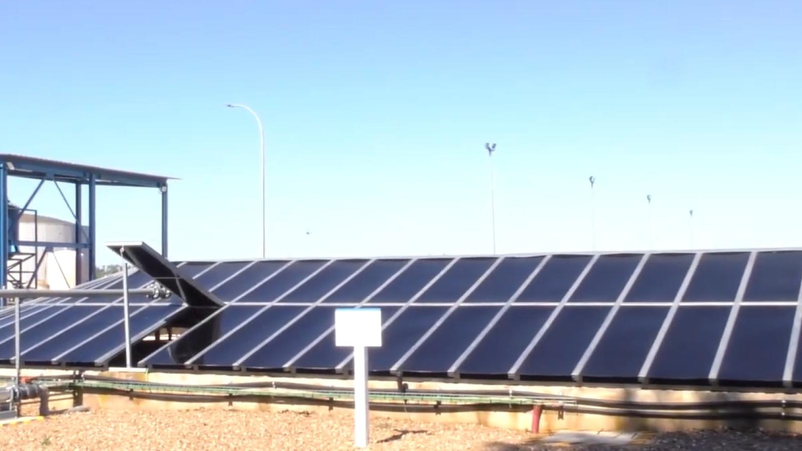 Sólo existen tres plantas en el mundo con esta tecnología
