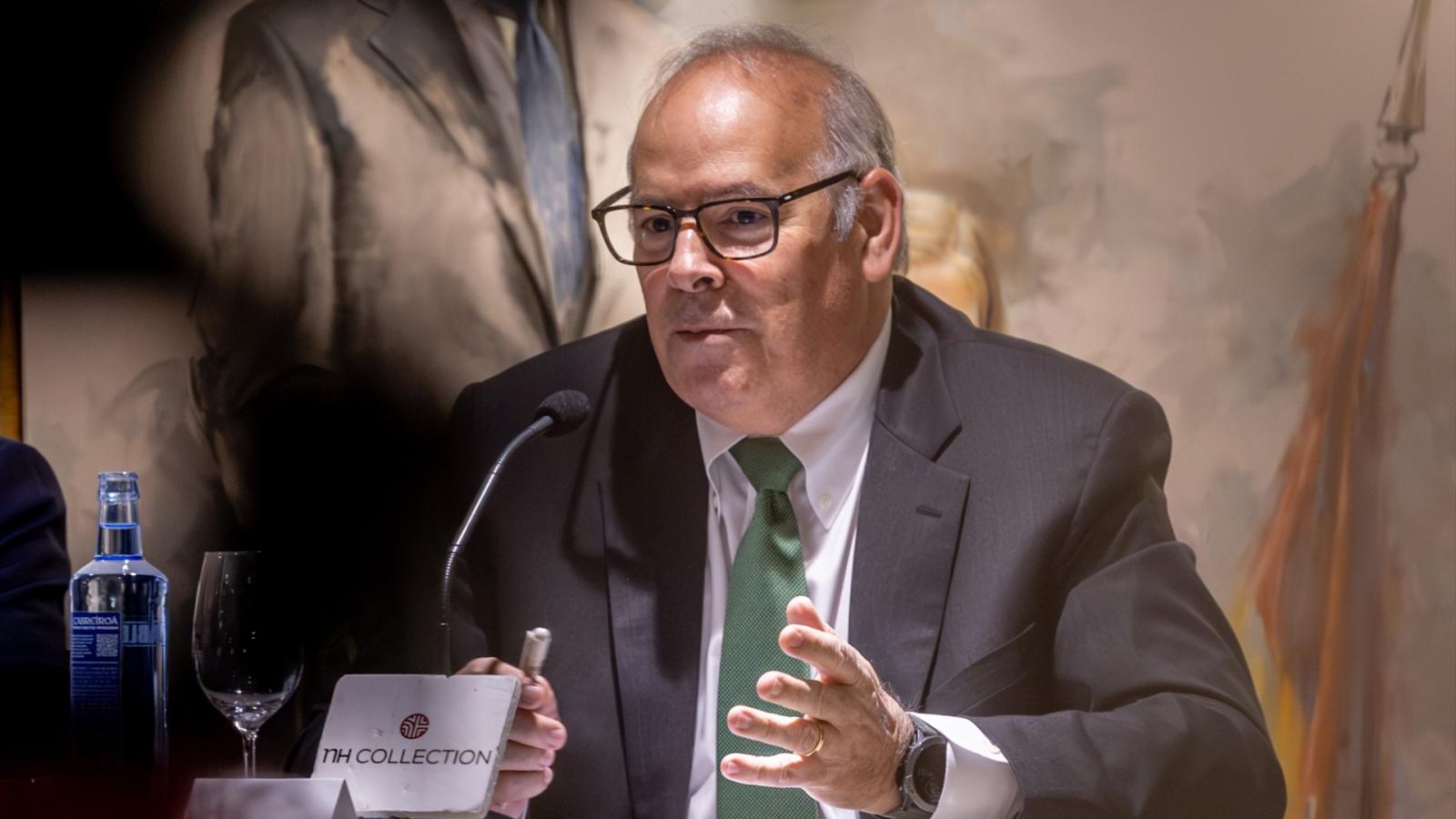 El consejero delegado de Iberdrola España, Mario Ruiz-Tagle