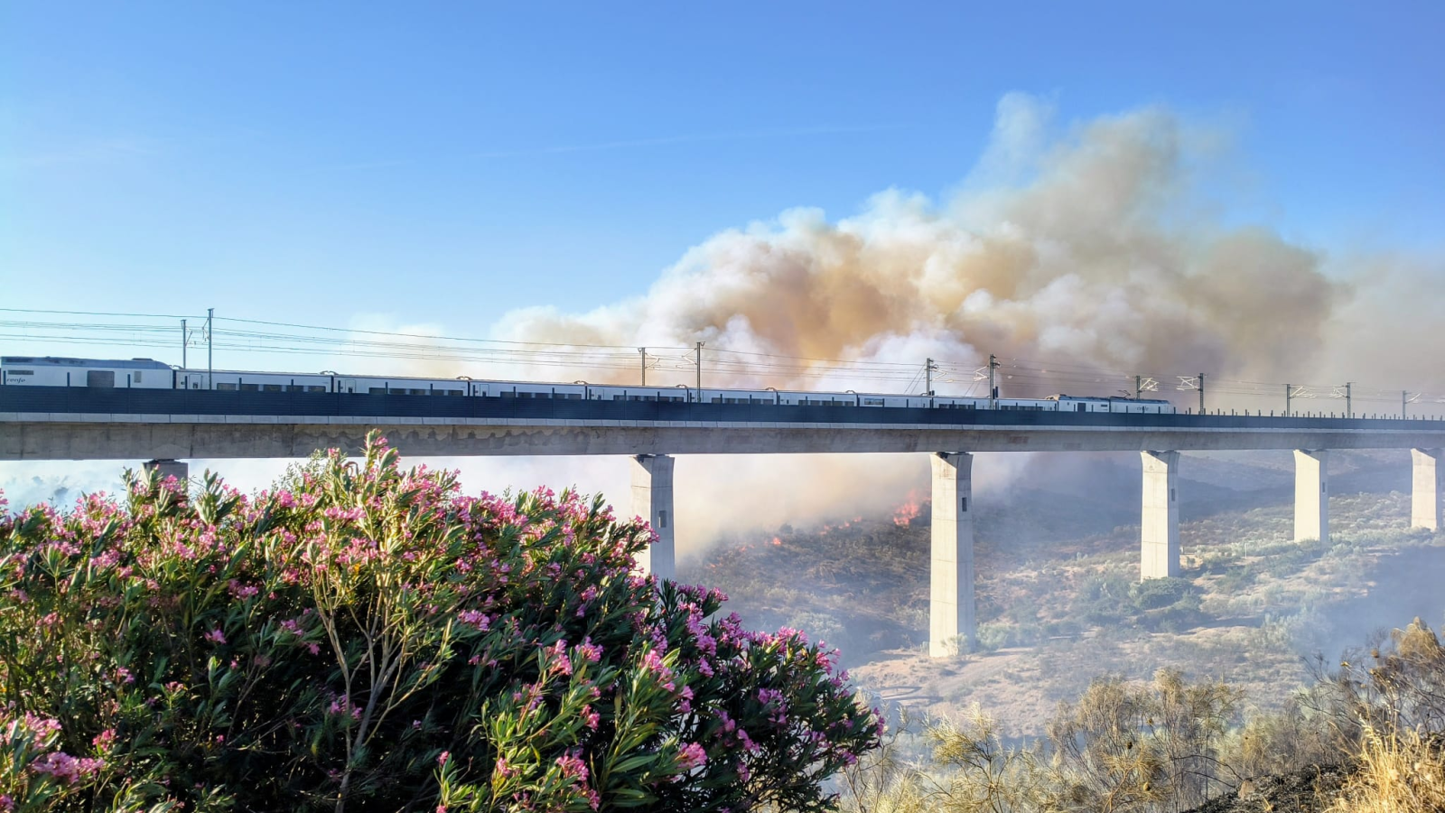 Incendio en Cañaveral