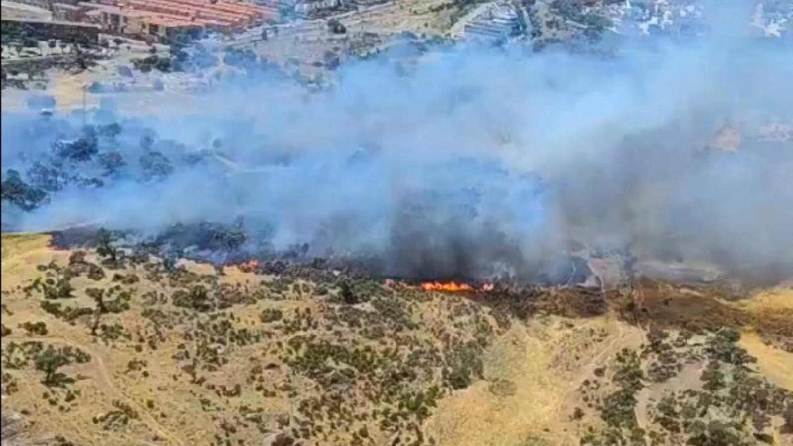 Incendio forestal en Plasencia
