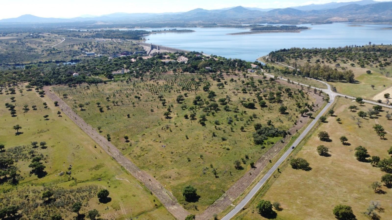 Trabajos de prevención de incendios forestales en el entorno del Embalse Gabriel y Galán.