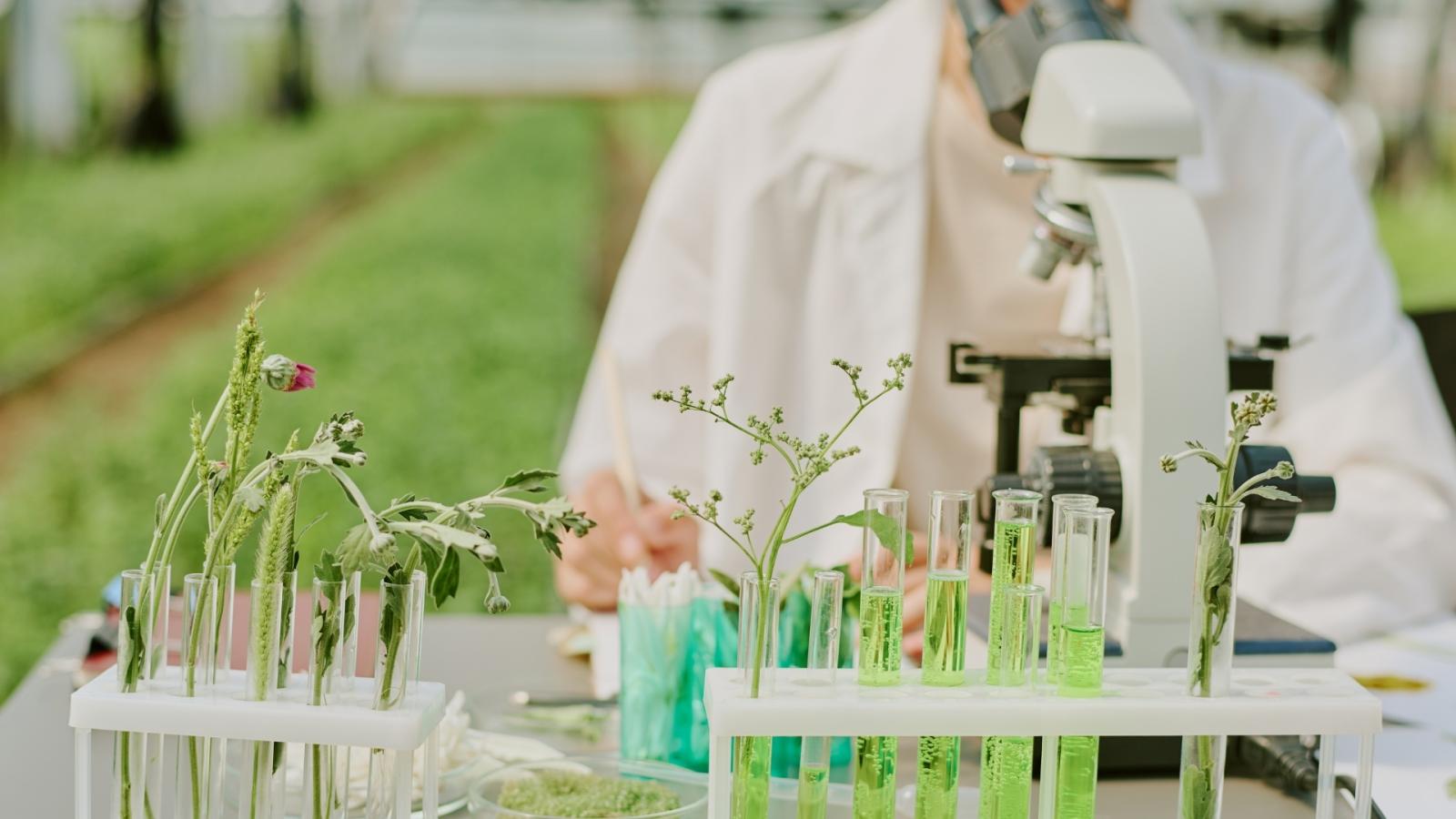 Biotecnología