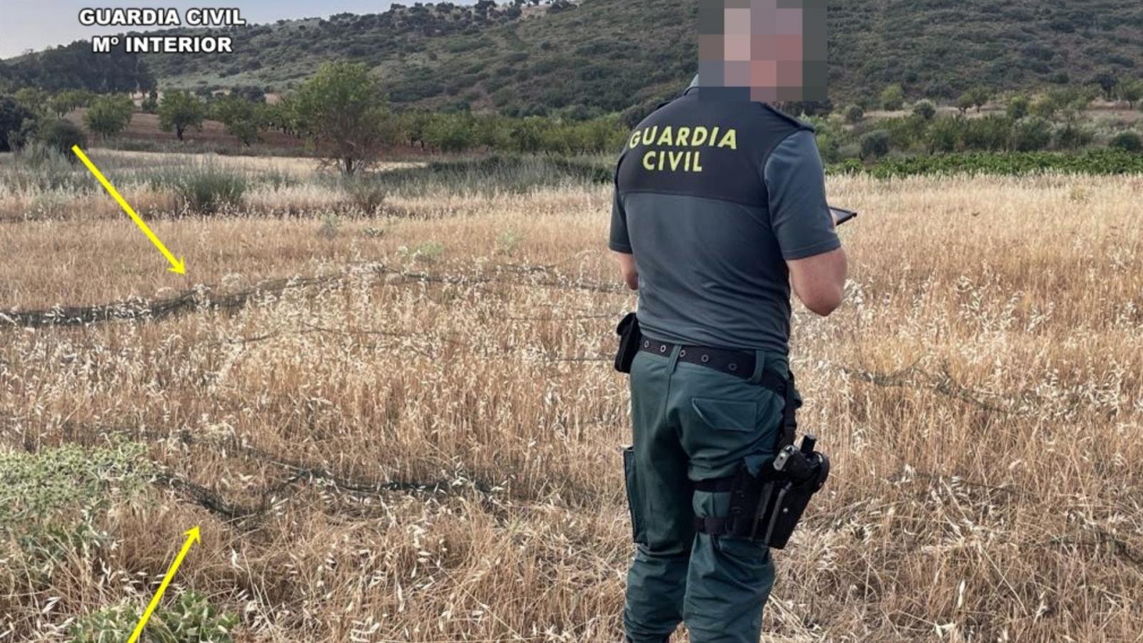 La Guardia Civil investiga a dos vecinos de Fuente del Maestre por su presunta implicación en un delito contra la flora y la fauna