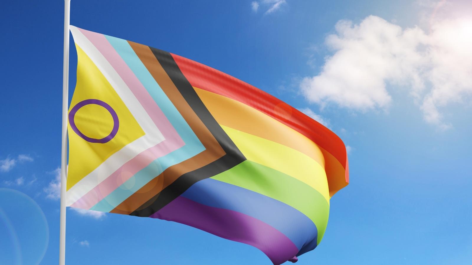 Bandera Orgullo LGTBIQ+ 