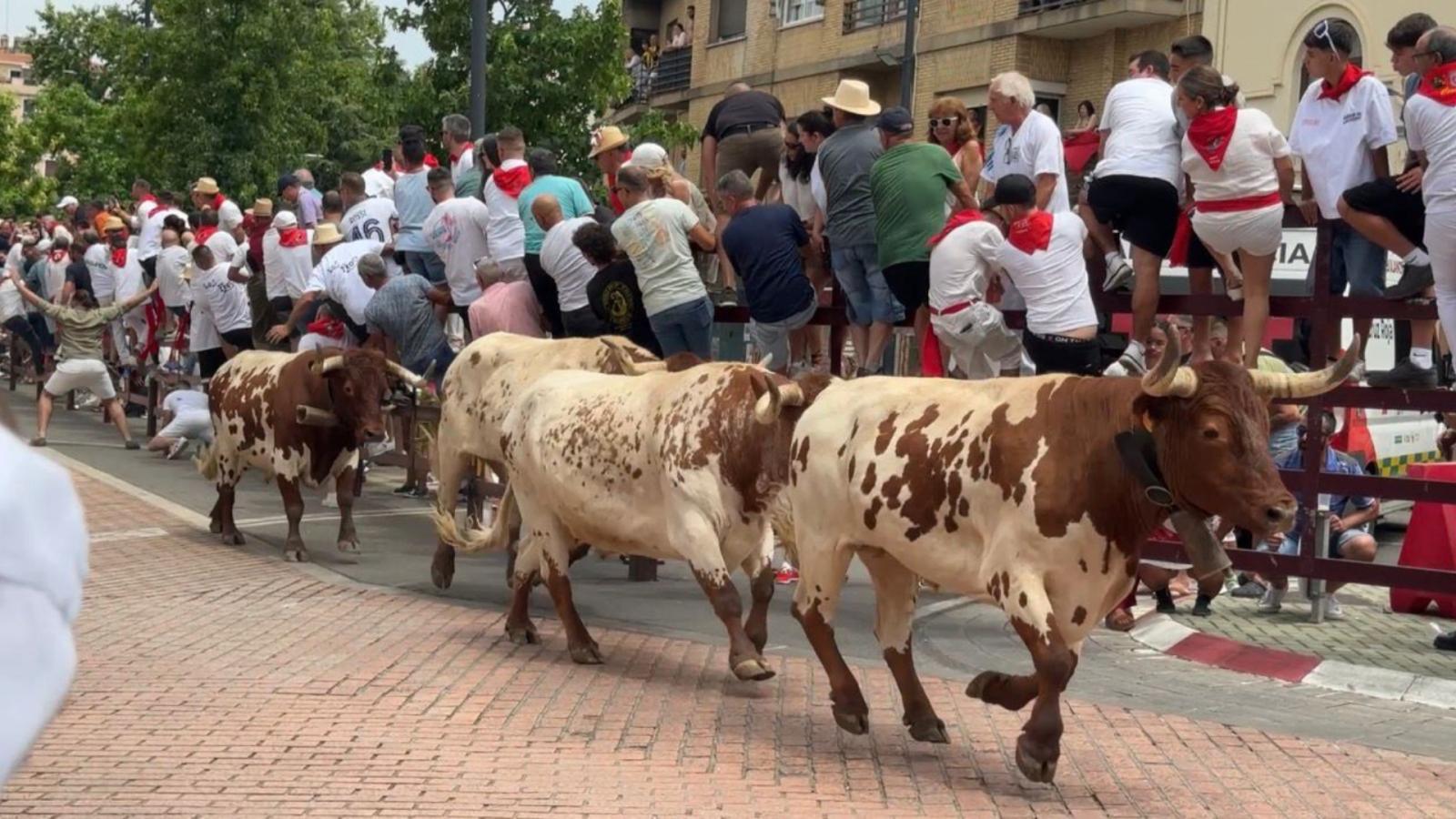 Encierro San Juan Coria