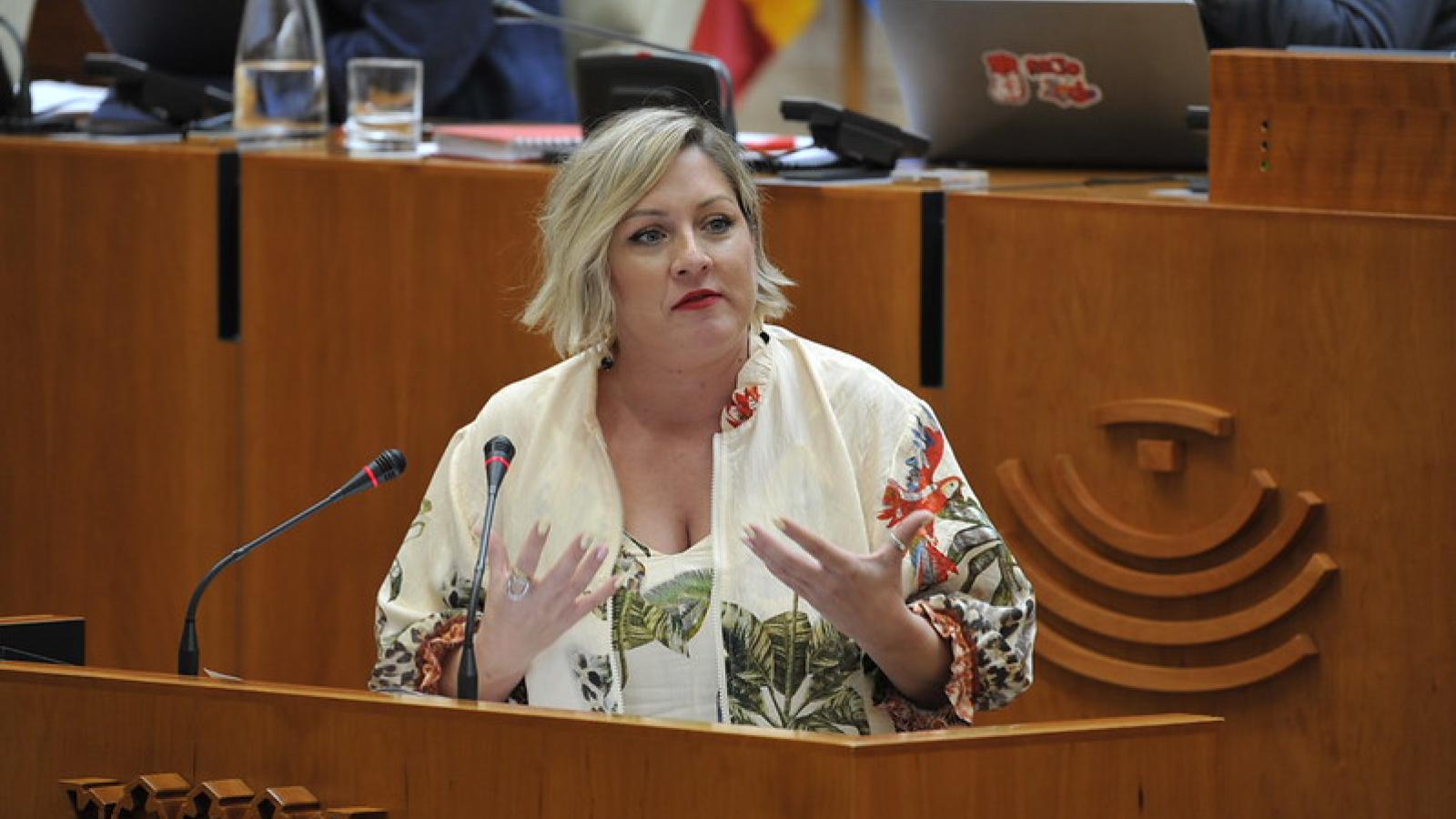 Rechazada una propuesta del PSOE para resolver la "demora asistencial" en Atención Primaria