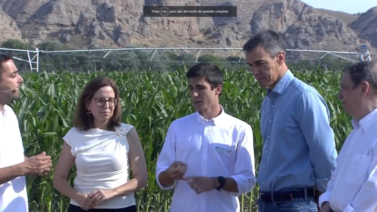 Pedro Sánchez, presidente del Gobierno