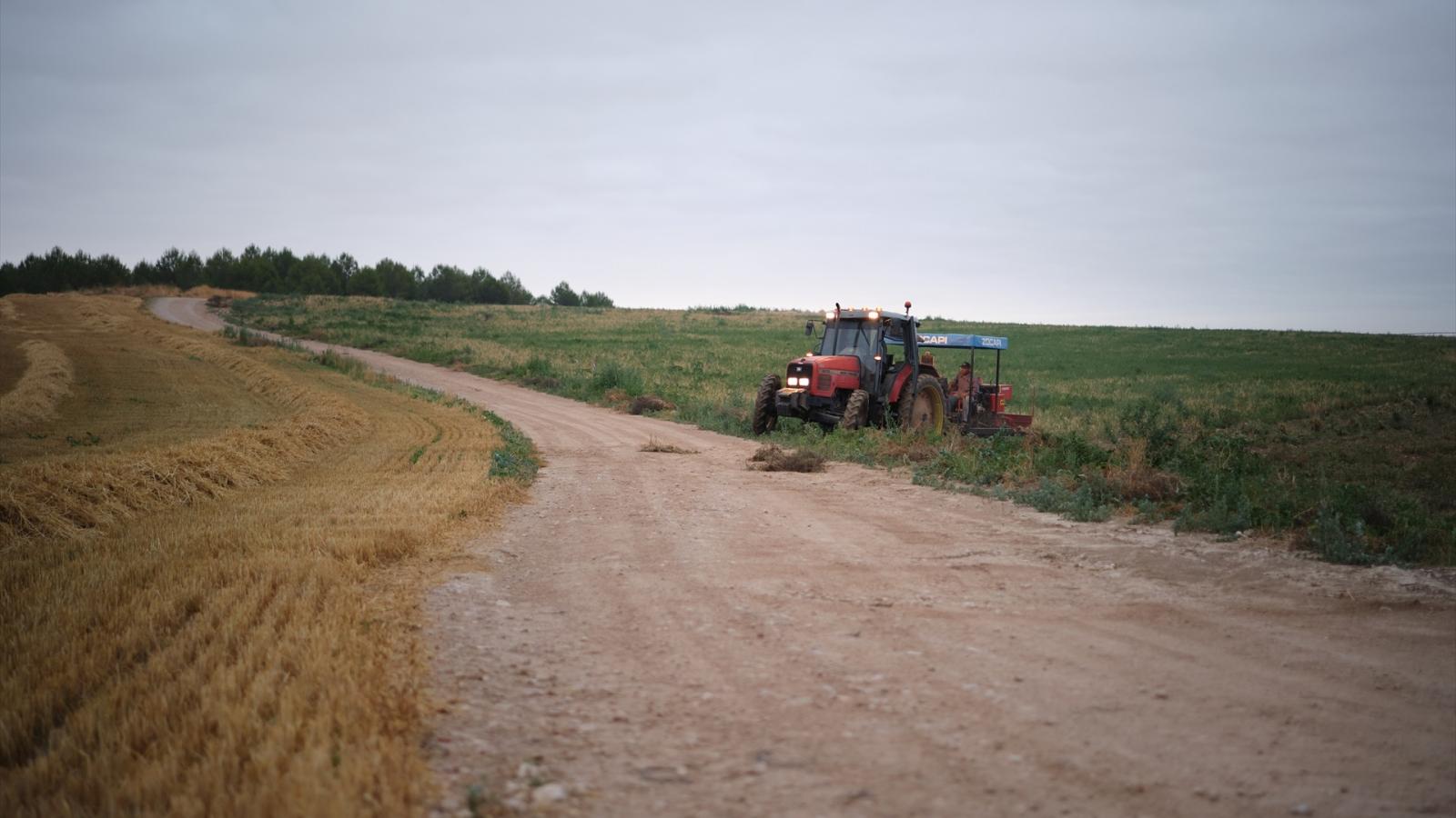 AGRICULTURA